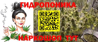 прущие крисы Тулун