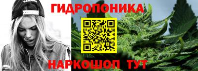 прущие крисы Тулун