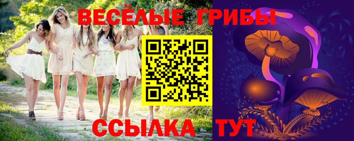 Майкоп  Псилоцибиновые грибы мухоморы  что такое   Вход с VPN  Псилоцибиновые грибы мухоморы 