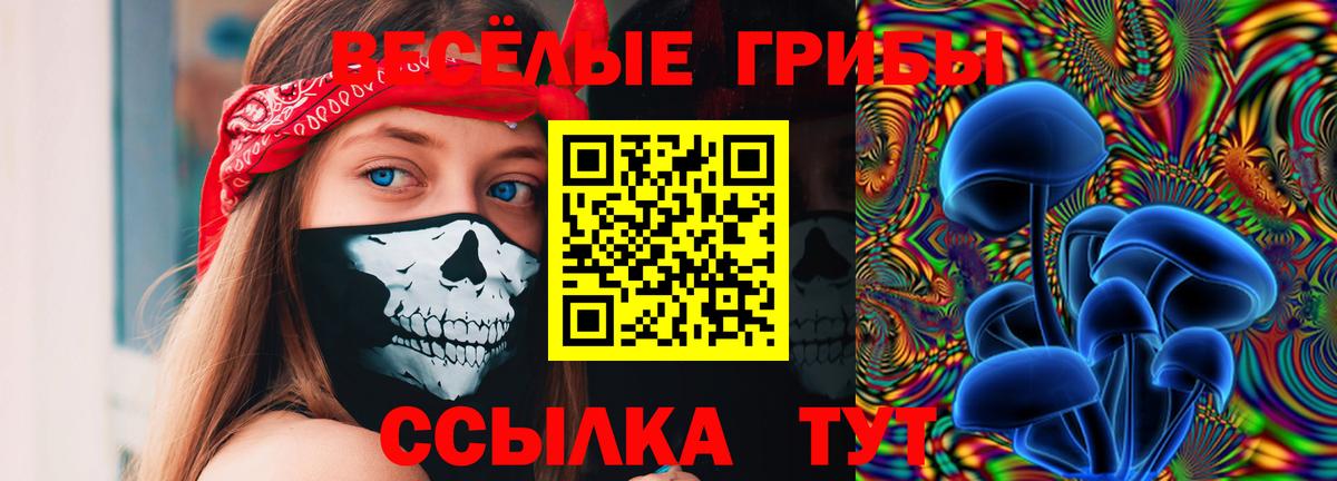 Галлюциногенные грибы ЛСД Майкоп